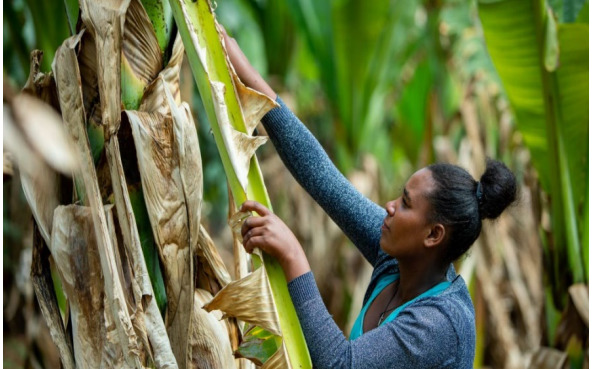 Promoting Sustainability through Supply Chains – Lessons from Humanitarian Organizations