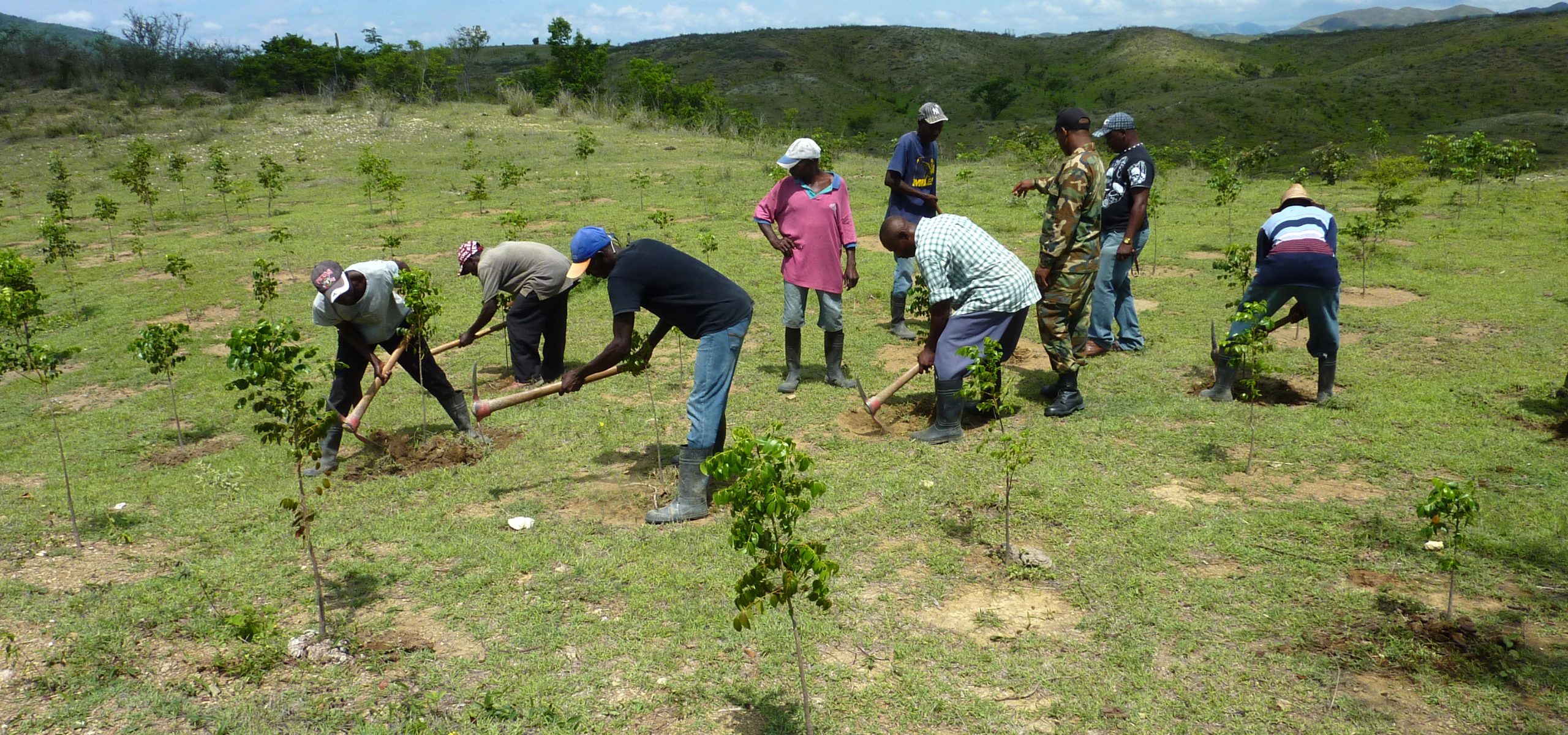 Environmental Preparedness Planning