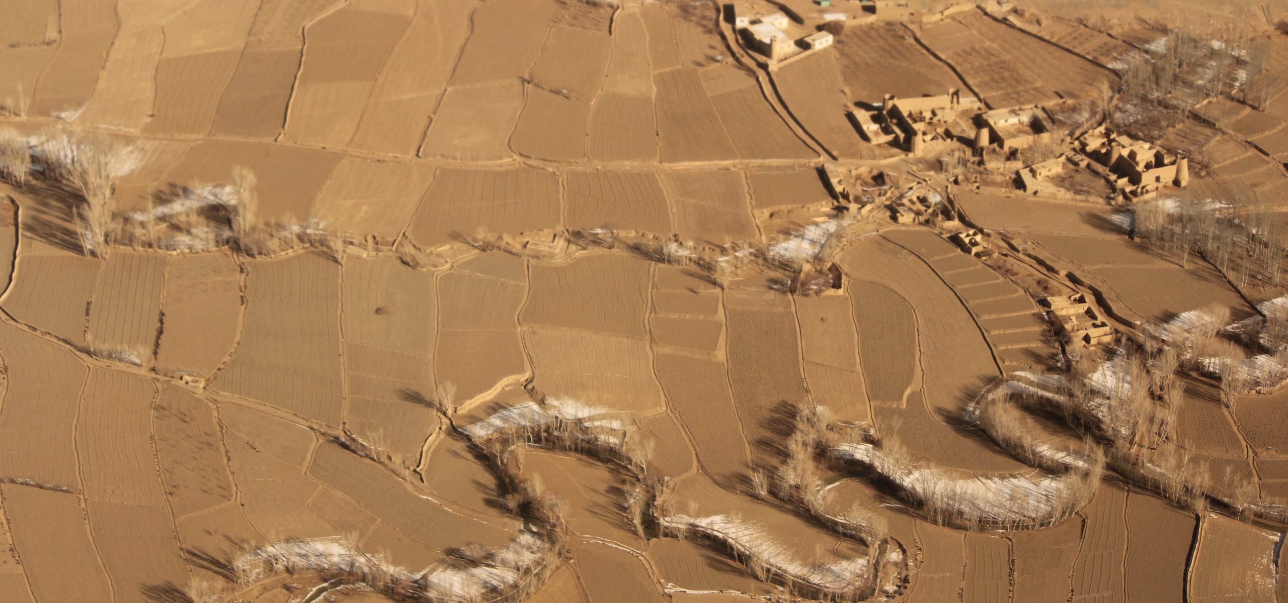 Food Security, Nutrition and Livelihoods