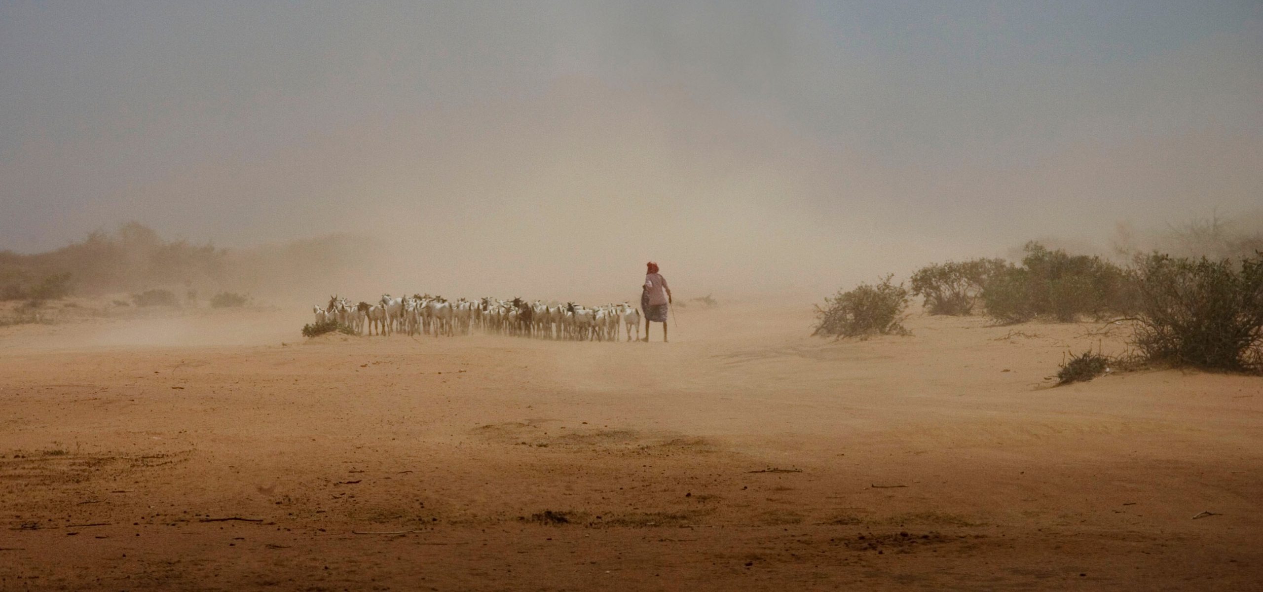 Climate Risk